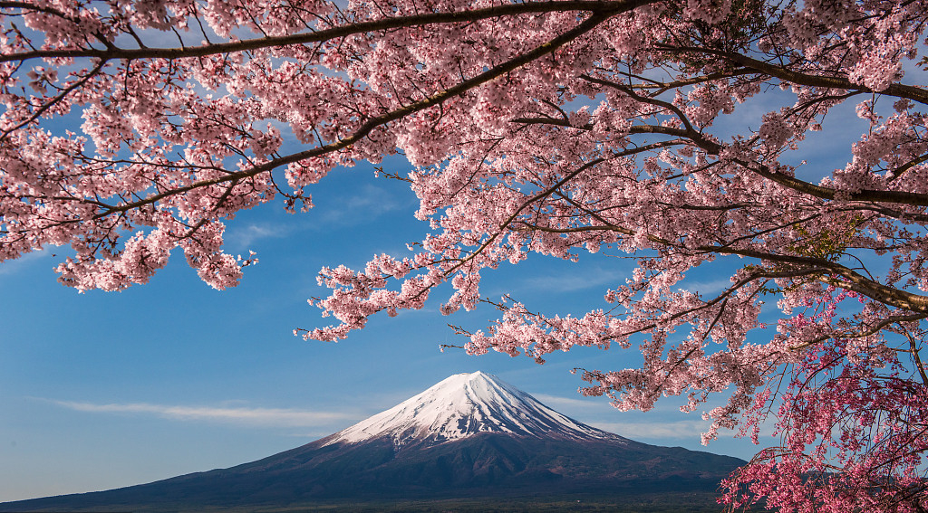 日本条形码注册